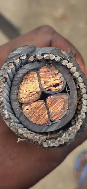 120mmx4core Amoured Cable Coleman Cable