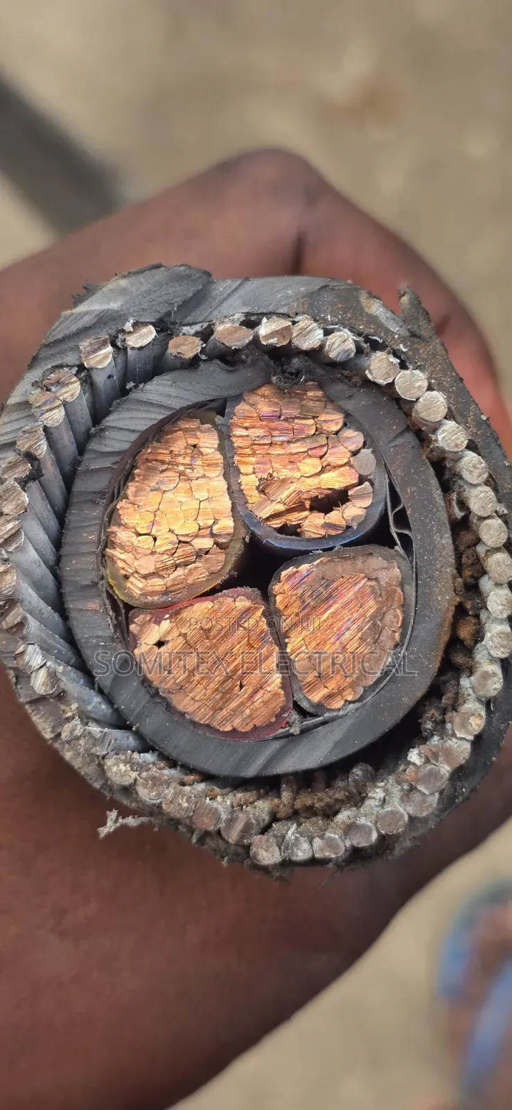 120mmx4core Amoured Cable Coleman Cable