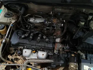 Nissan Sunny 2008 Gold