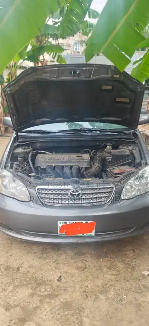 Toyota Corolla LE 2006 Gray