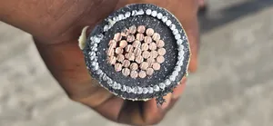 300mmx1core Amoured Nigerchin Cable