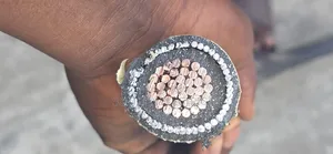 300mmx1core Amoured Nigerchin Cable