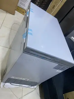 Skyrun BD-200A 200L Meat Storage Freezer