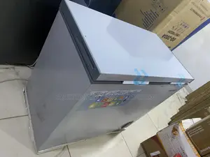 Skyrun BD-200A 200L Food Preservation Freezer