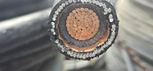 300mmx1core Xlpe 11kv Bicc Cable Available