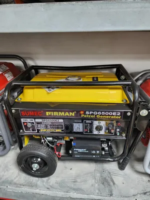 Sumec Firman SPG6500E2