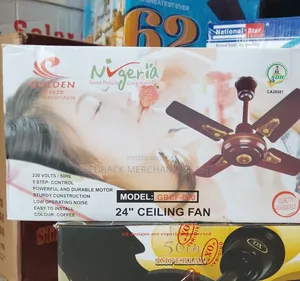 Golden Breeze Ceiling Fan, 24 Inches.