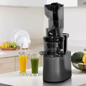 Electric Fruit Juicer I