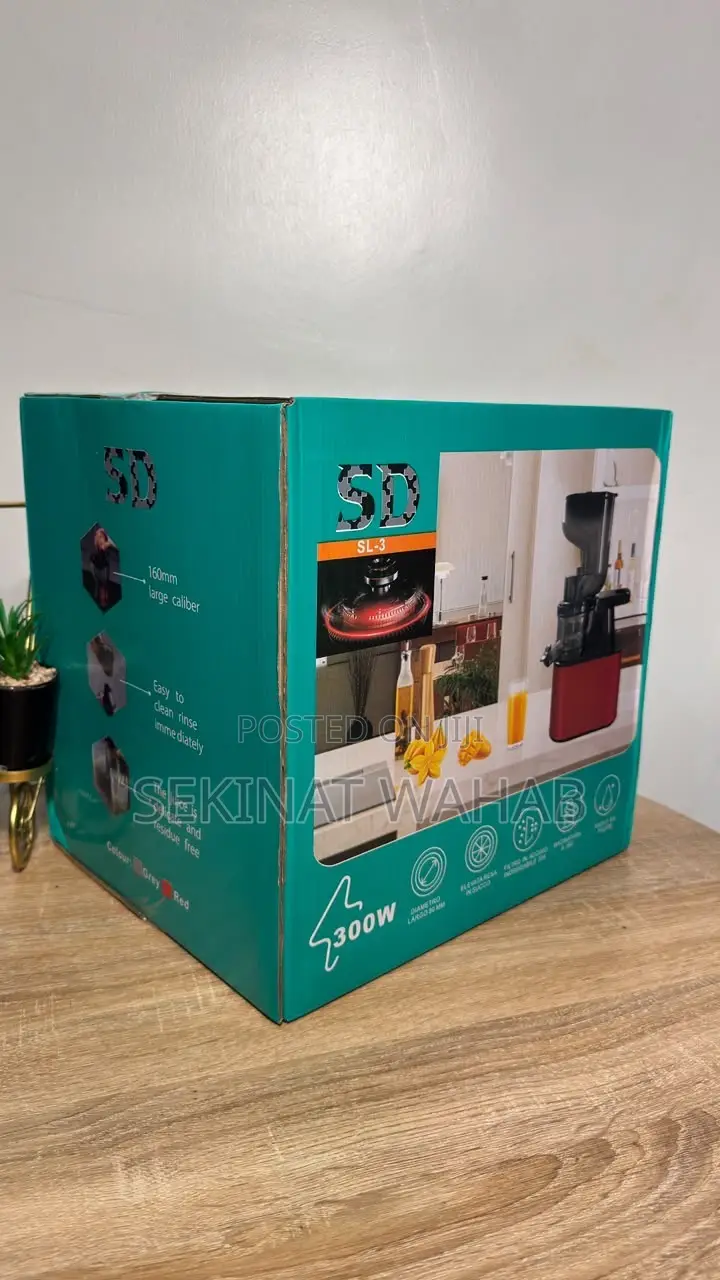 Electric Fruit Juicer I