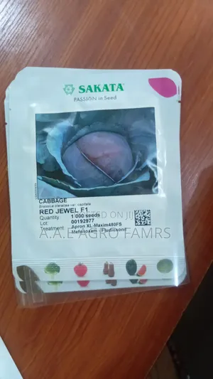 Sakata Cabbage Red Jewel F1