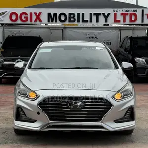 Hyundai Elantra Limited 2018 Silver
