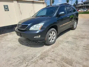 Lexus RX 330 2005 Gray