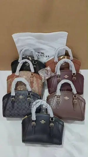 Luxury Coach Bag