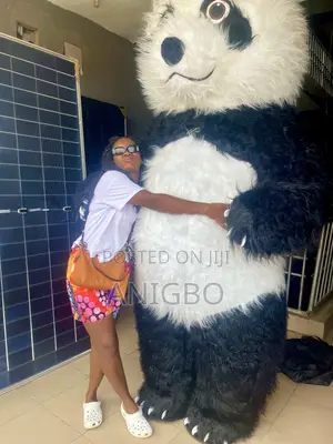 Panda Mascot for Hire | Events, Birthdays & Parties