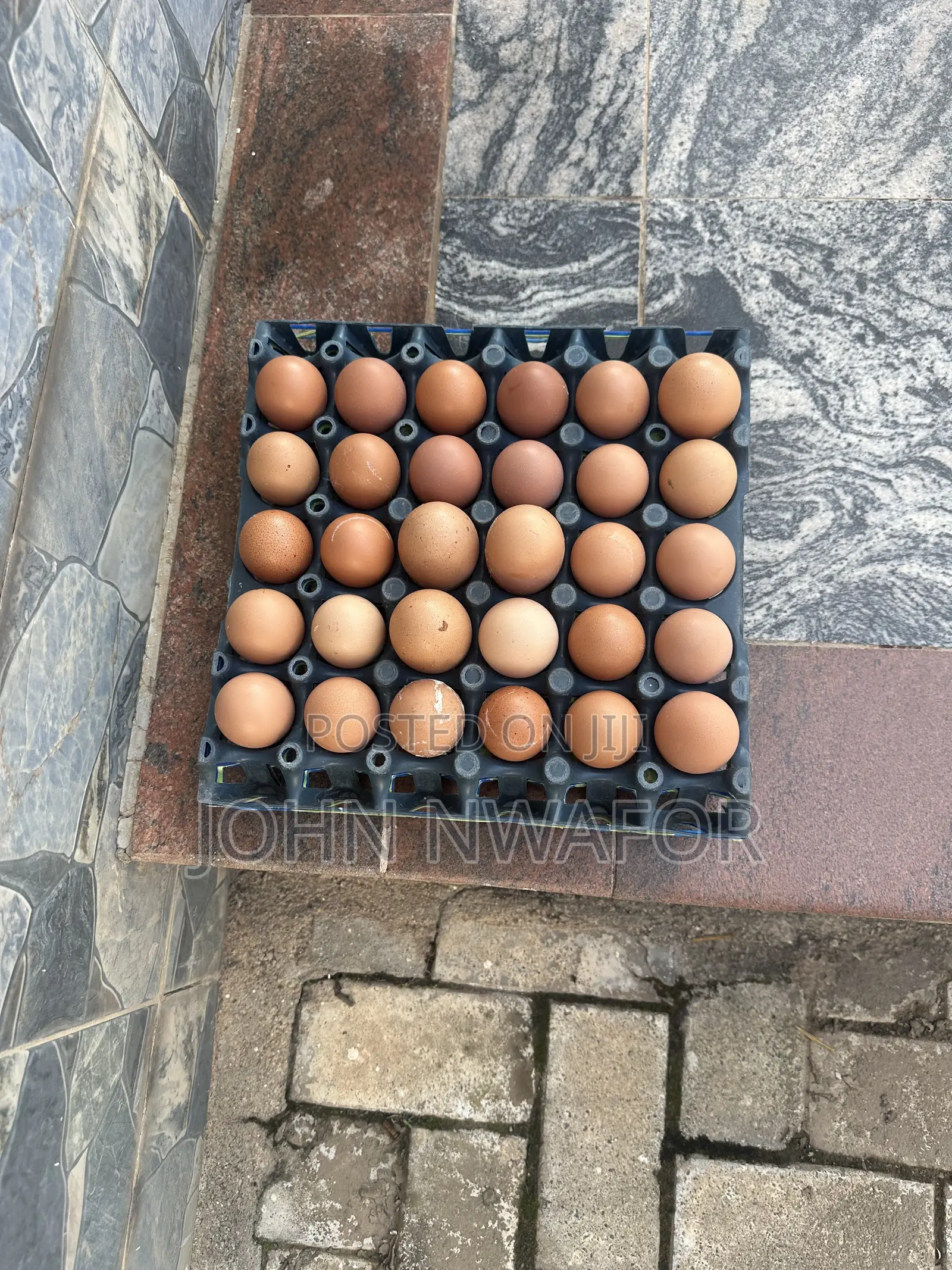Fresh Eggs