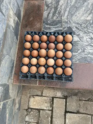 Fresh Eggs