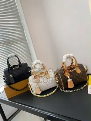 Luxury Louis Vuitton Bag