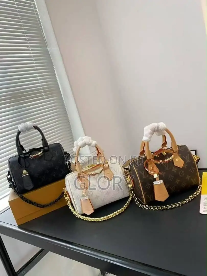 Luxury Louis Vuitton Bag