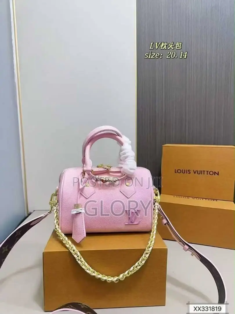 Luxury Louis Vuitton Bag