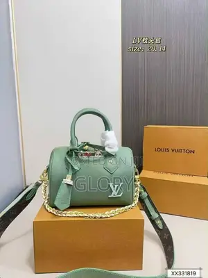 Luxury Louis Vuitton Bag