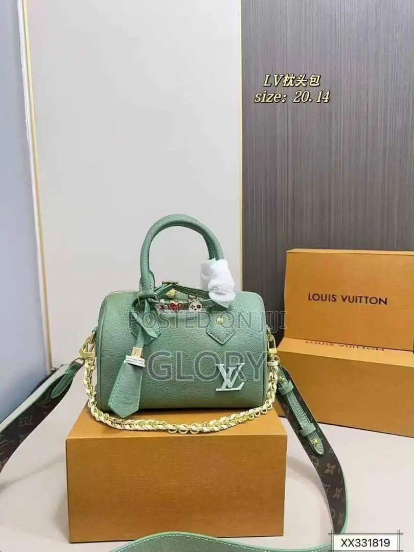 Luxury Louis Vuitton Bag