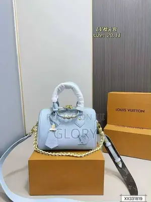 Luxury Louis Vuitton Bag