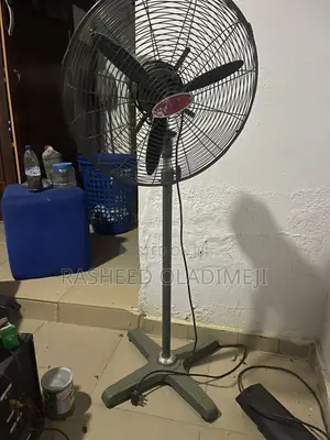 Standing Ox Fan