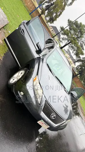 Lexus RX 350 2010 Gray
