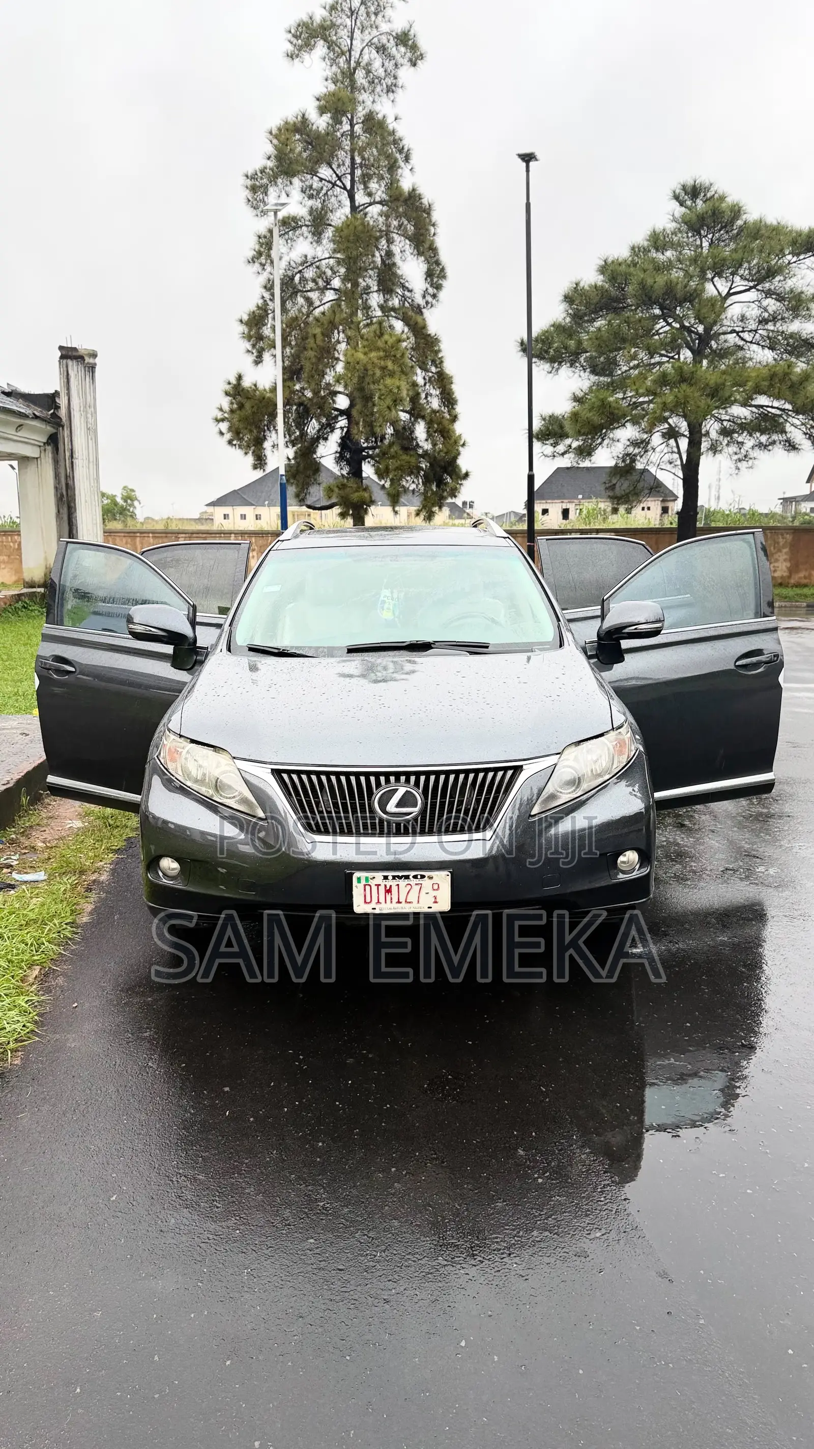Lexus RX 350 2010 Gray