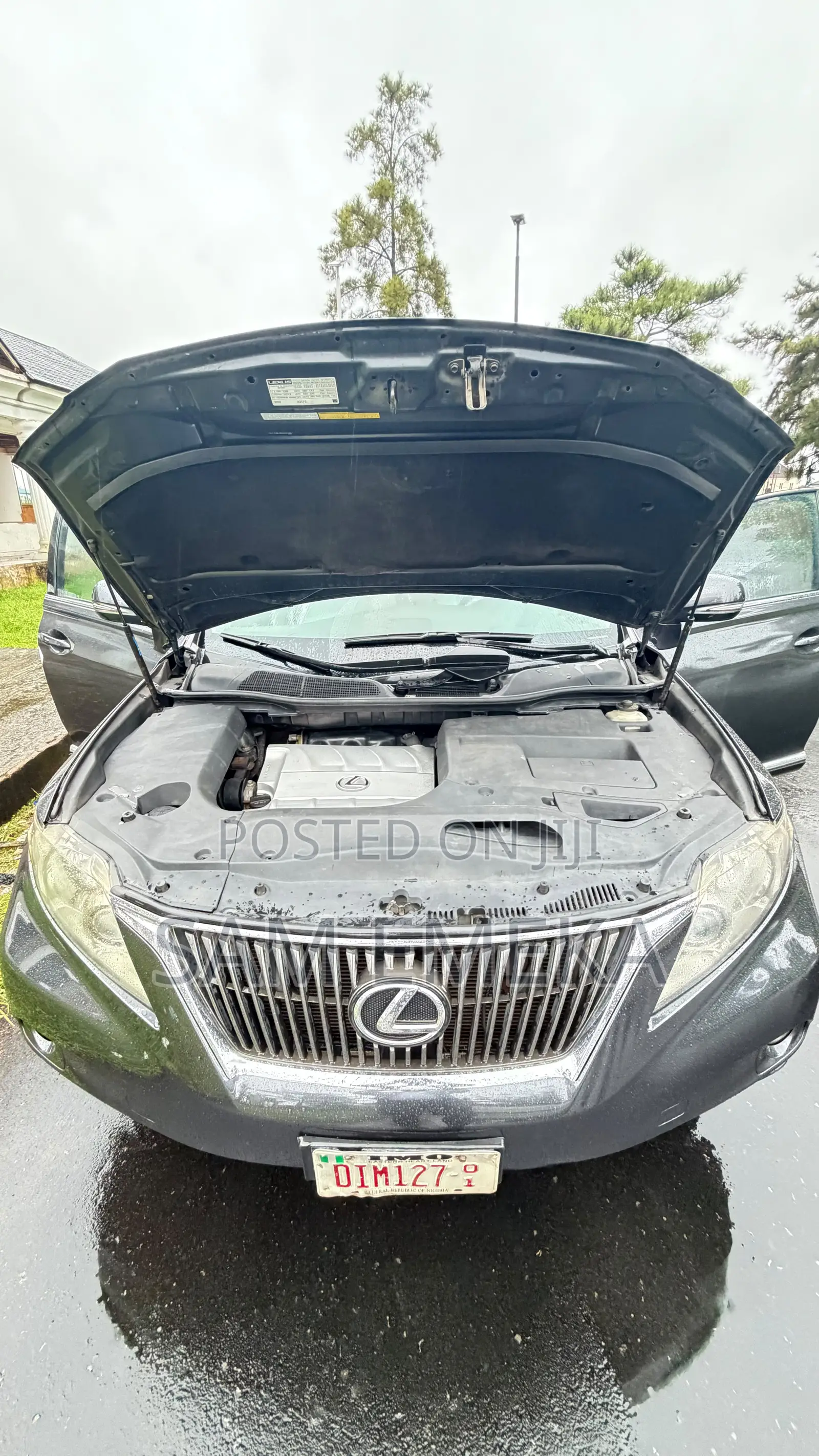 Lexus RX 350 2010 Gray