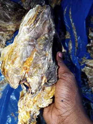Stock Fish