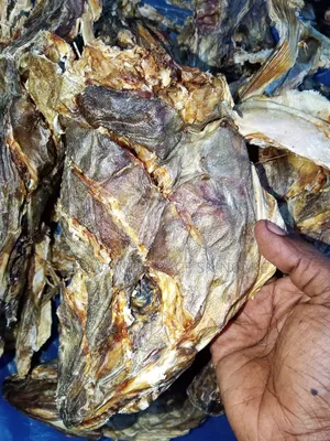Stock Fish