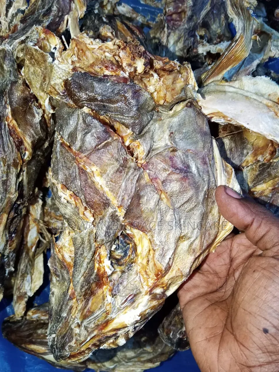 Stock Fish