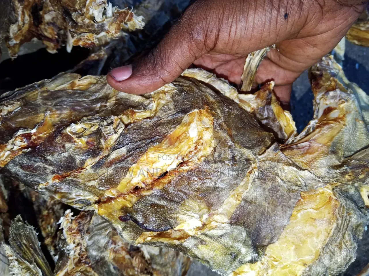 Stock Fish