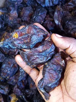 Fresh Dry Fish