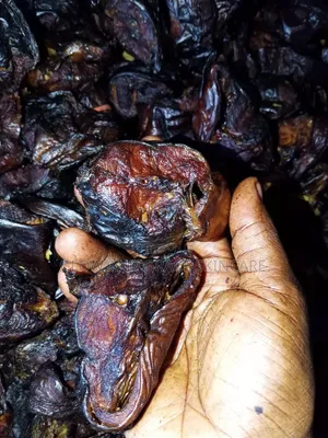 Fresh Dry Fish