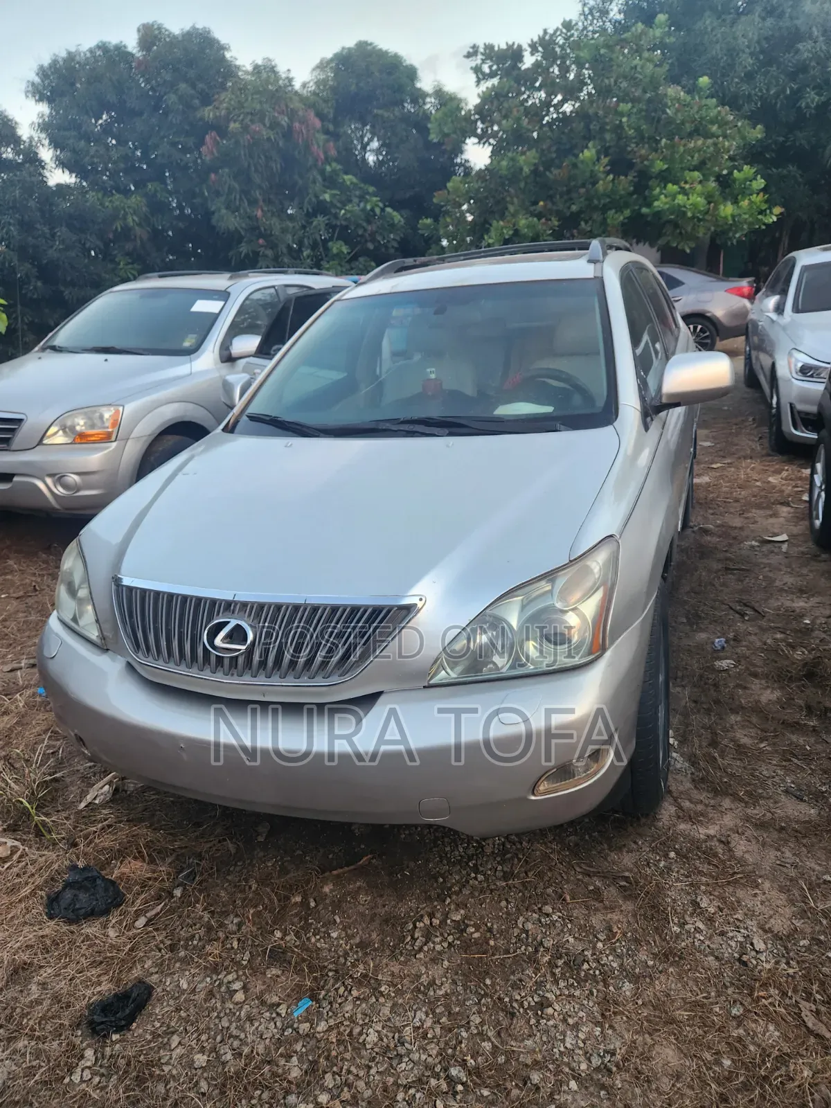 Lexus RX 330 2004 Silver