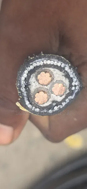 10mmx3core Amoured Cable