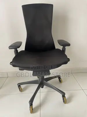 Herman Miller Embody Ergonomic Office Chair - Fully Adjustable