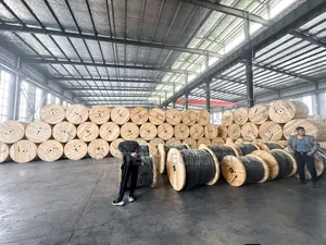 16mm Copper Wire