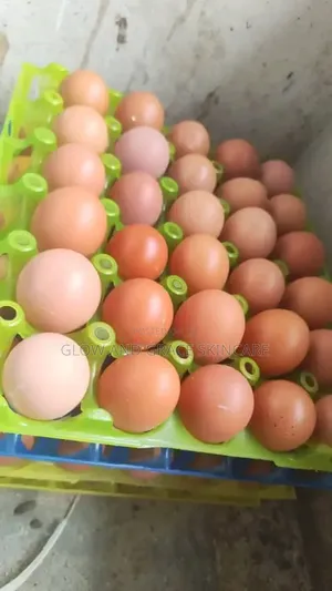 Fresh Eggs