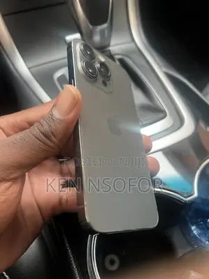 Apple iPhone 13 Pro 256 GB Gray