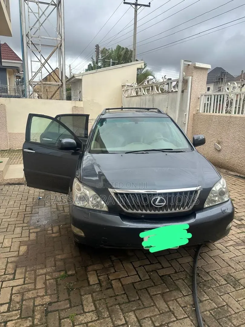 Lexus RX 2008 Gray