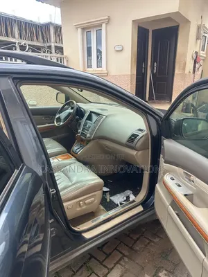 Lexus RX 2008 Gray