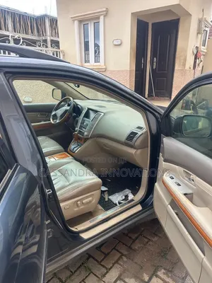 Lexus RX 2008 Gray