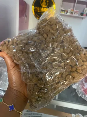 Dog Dry Food in Retail