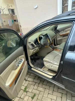 Lexus RX 2008 Gray