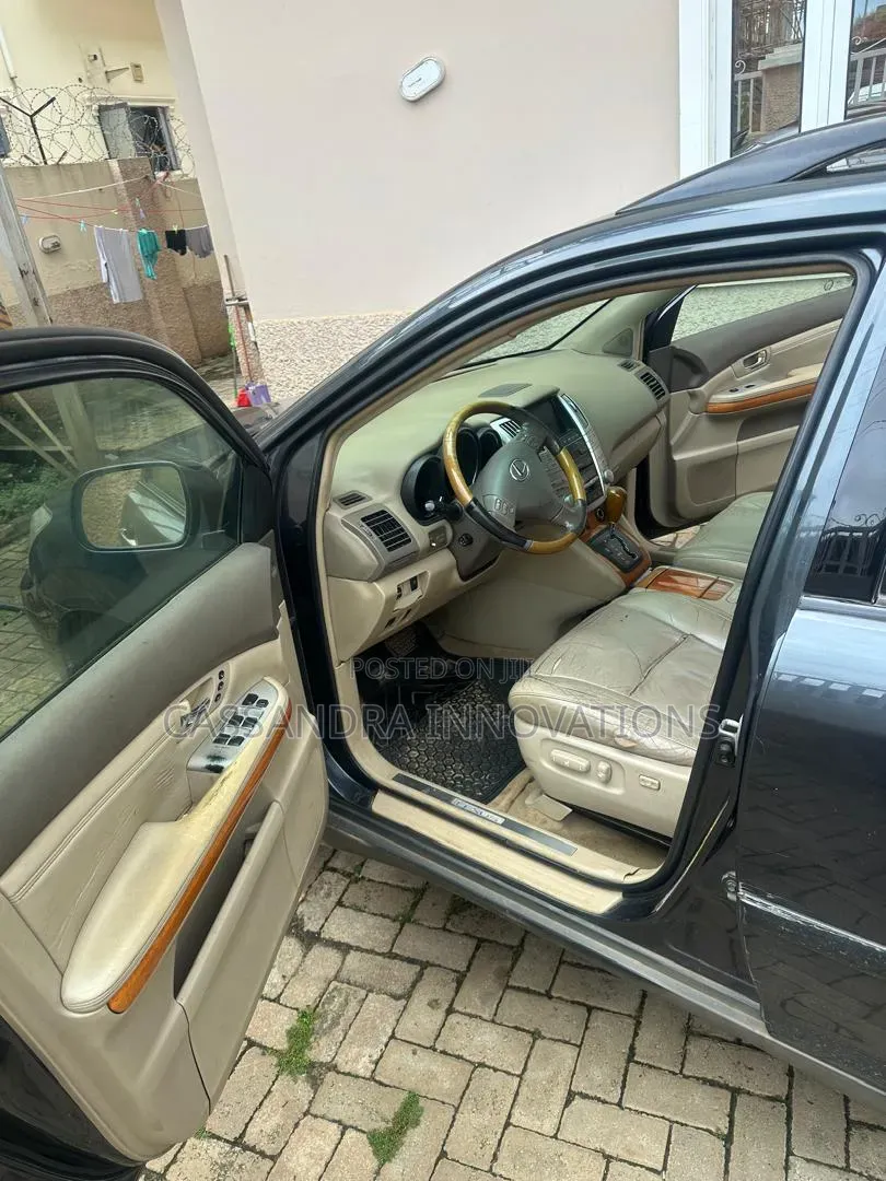 Lexus RX 2008 Gray