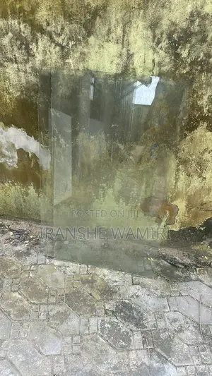 Door Glass