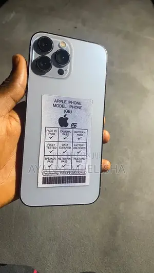 Apple iPhone 13 Pro Max 256 GB Gray